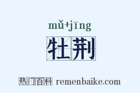 牡荆是什么意思的图片
